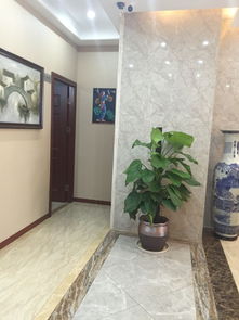 蘇錦堂裝飾簡(jiǎn)介 地址