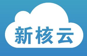 新核云完成300萬美元A輪融資，加速工廠ERP系統與互聯網服務升級