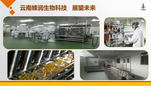 云南蜂潤集結(jié)愛心，科技助殘奧健兒出征