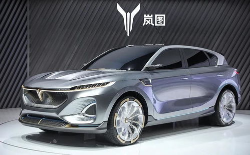 嵐圖汽車首秀國際車展 以“蔚派”姿態(tài)，交出怎樣的成績單？